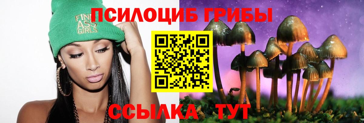 Петрозаводск  даркнет сайт  Вход с VPN  Галлюциногенные грибы ЛСД 